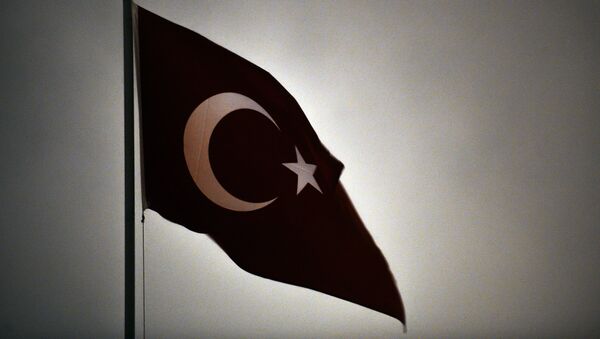 Türkiyənin bayrağı - Sputnik Azərbaycan