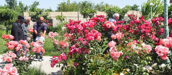 Два года назад Гошгар посадил тут четыре цветочных куста, сегодня в саду растет уже восемь тысяч кустов, десятки видов цветов - Sputnik Азербайджан