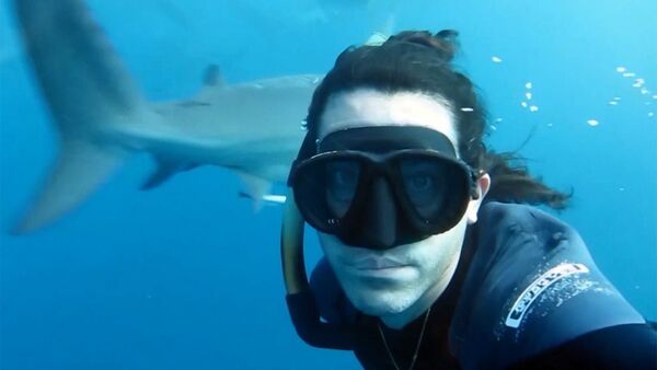 Фридайвер Брайан Руло встретился с акулами лицом к лицу - Sputnik Азербайджан
