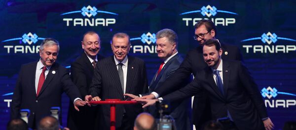 Церемония открытия газопровода TANAP Церемония открытия газопровода TANAP - Sputnik Азербайджан