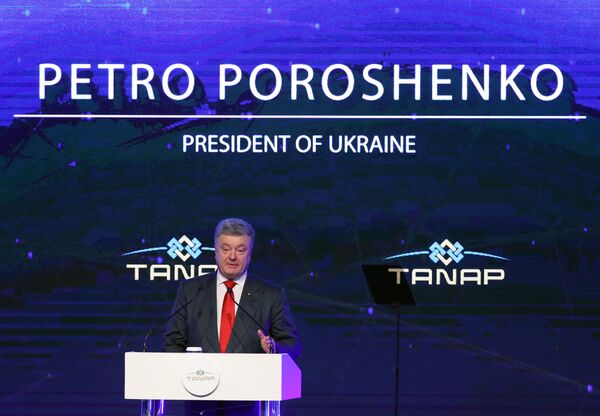 Выступление президента Украины Петро Порошенко на церемонии открытия газопровода TANAP Выступление президента Украины Петро Порошенко на церемонии открытия газопровода TANAP - Sputnik Азербайджан