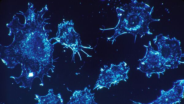 Раковые клетки, фото из архива - Sputnik Азербайджан