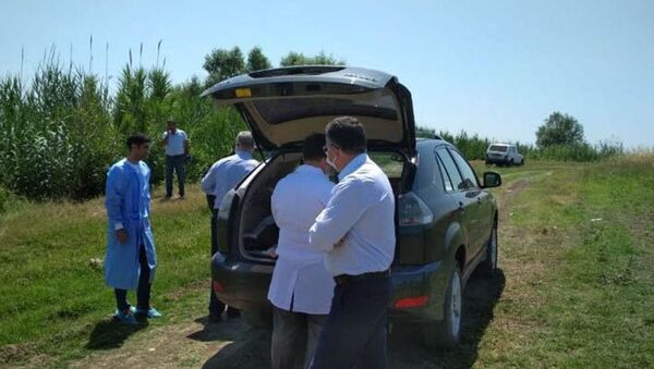 В Тертере на хлопковом поле отравились 14 человек - Sputnik Азербайджан
