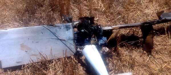 Уничтоженный подразделениями ВВС Азербайджана тактический БПЛА X-55, принадлежащий ВС Армении - Sputnik Азербайджан