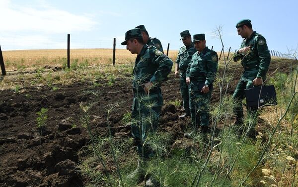 ГПС распространила сообщение о перестрелке на границе с Ираном, раненый солдат награжден медалью - Sputnik Азербайджан