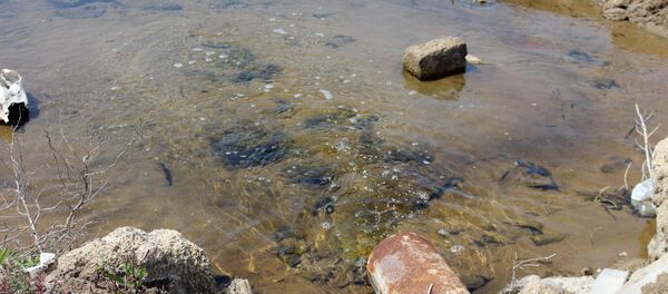 Выброс сточный вод в море, фото из архива Выброс сточный вод в море, фото из архива - Sputnik Азербайджан