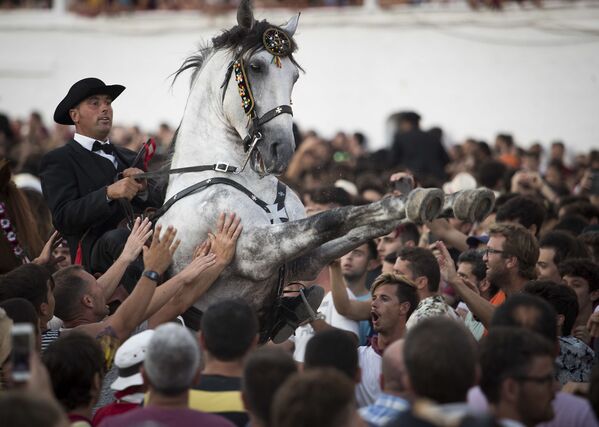 Лошадь с наездником в толпе во время традиционного праздника Сан-Хуан на Балеарском острове Менорка - Sputnik Азербайджан