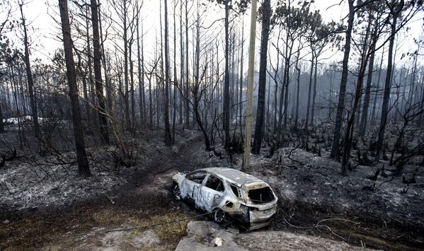 Сгоревший в лесных пожарах автомобиль в придорожной канаве, Флорида - Sputnik Азербайджан