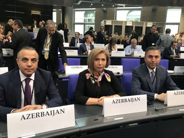 Делегация Азербайджана в ПА ОБСЕ Делегация Азербайджана в ПА ОБСЕ - Sputnik Азербайджан