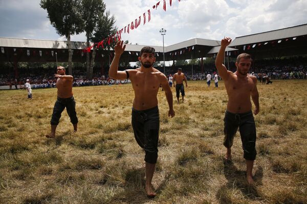 Участники масляных боев на финале соревнований в турецком городе Эдирне - Sputnik Азербайджан