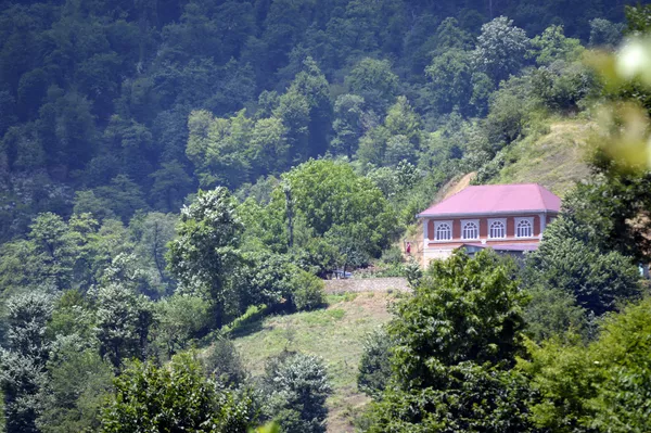 Кадр из деревни Мики Астаринского района Кадр из деревни Мики Астаринского района - Sputnik Азербайджан