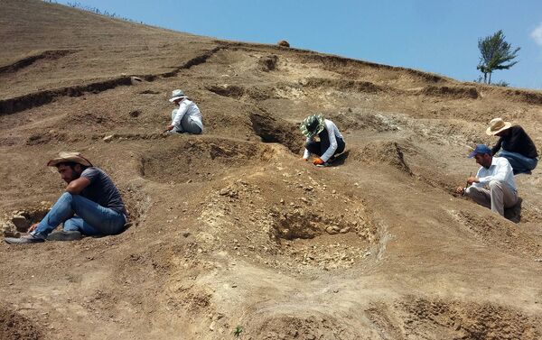 В Лерикском районе обнаружено древнее захоронение, относящееся к античному периоду, возрастом 2500 лет - Sputnik Азербайджан