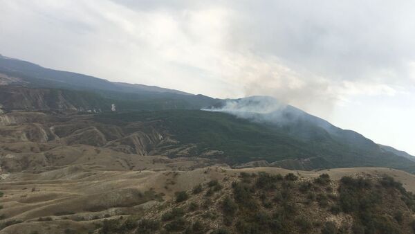 Пожар в национальном парке Алтыагадж - Sputnik Azərbaycan