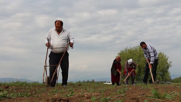 Жизнь в приграничном селе: нет лучше места чем их родной дом - Sputnik Азербайджан