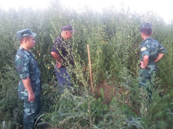 Пограничники пограничного отряда Гёйтепе в Билясуварском районе Азербайджана перехватили тысячи единиц психотропного препарата - Sputnik Азербайджан