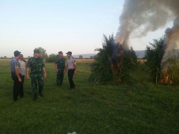 Пограничники пограничного отряда Гёйтепе в Билясуварском районе Азербайджана перехватили тысячи единиц психотропного препарата - Sputnik Азербайджан