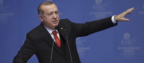 Президент Турции Реджеп Тайип Эрдоган, фото из архива - Sputnik Азербайджан