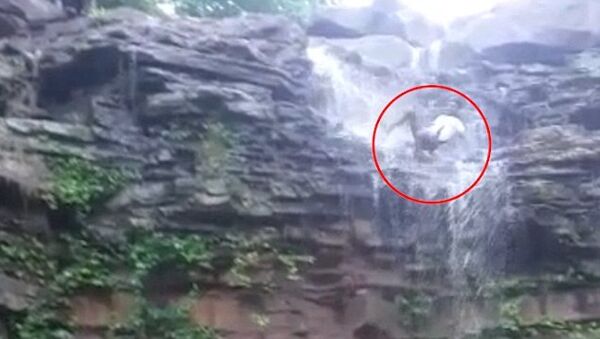 Турист пытался сделать селфи на краю водопада, но сорвался - Sputnik Азербайджан