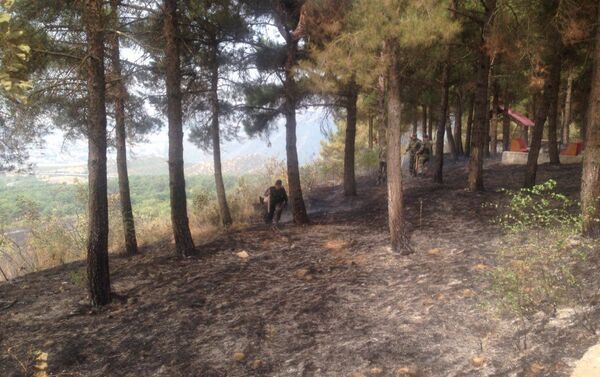 Лесной пожар в Агсу - Sputnik Азербайджан