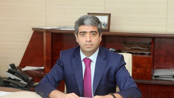 заместитель министра труда и социальной защиты населения Анар Алиев - Sputnik Азербайджан