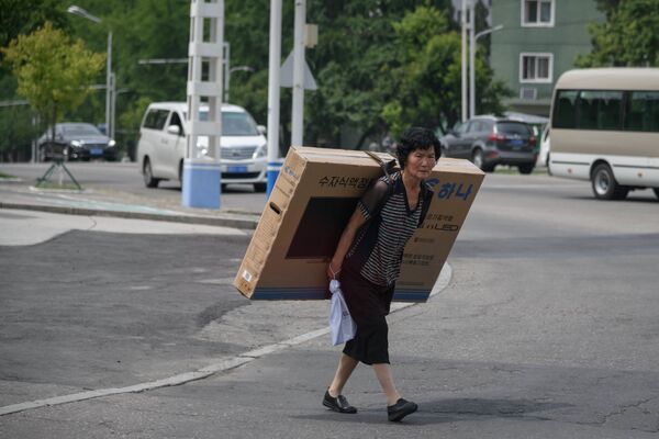 Женщина несет плазменный телевизор на улице Пхеньяна - Sputnik Азербайджан
