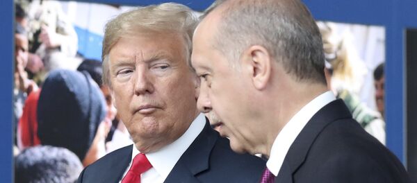 Президенты США Дональд Трамп и президент Турции Реджеп Тайип Президенты США Дональд Трамп и президент Турции Реджеп Тайип - Sputnik Азербайджан