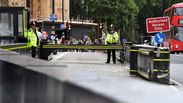 Лондонская полиция на месте происшествия, где грузовик врезался в здание парламента - Sputnik Азербайджан