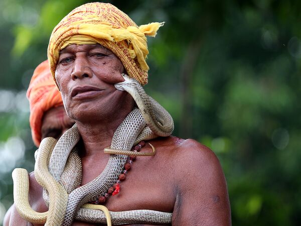 Индийский заклинатель змей на фестивале по случаю Maa Mansa Puja в Дхолбумгаре, Индия - Sputnik Азербайджан