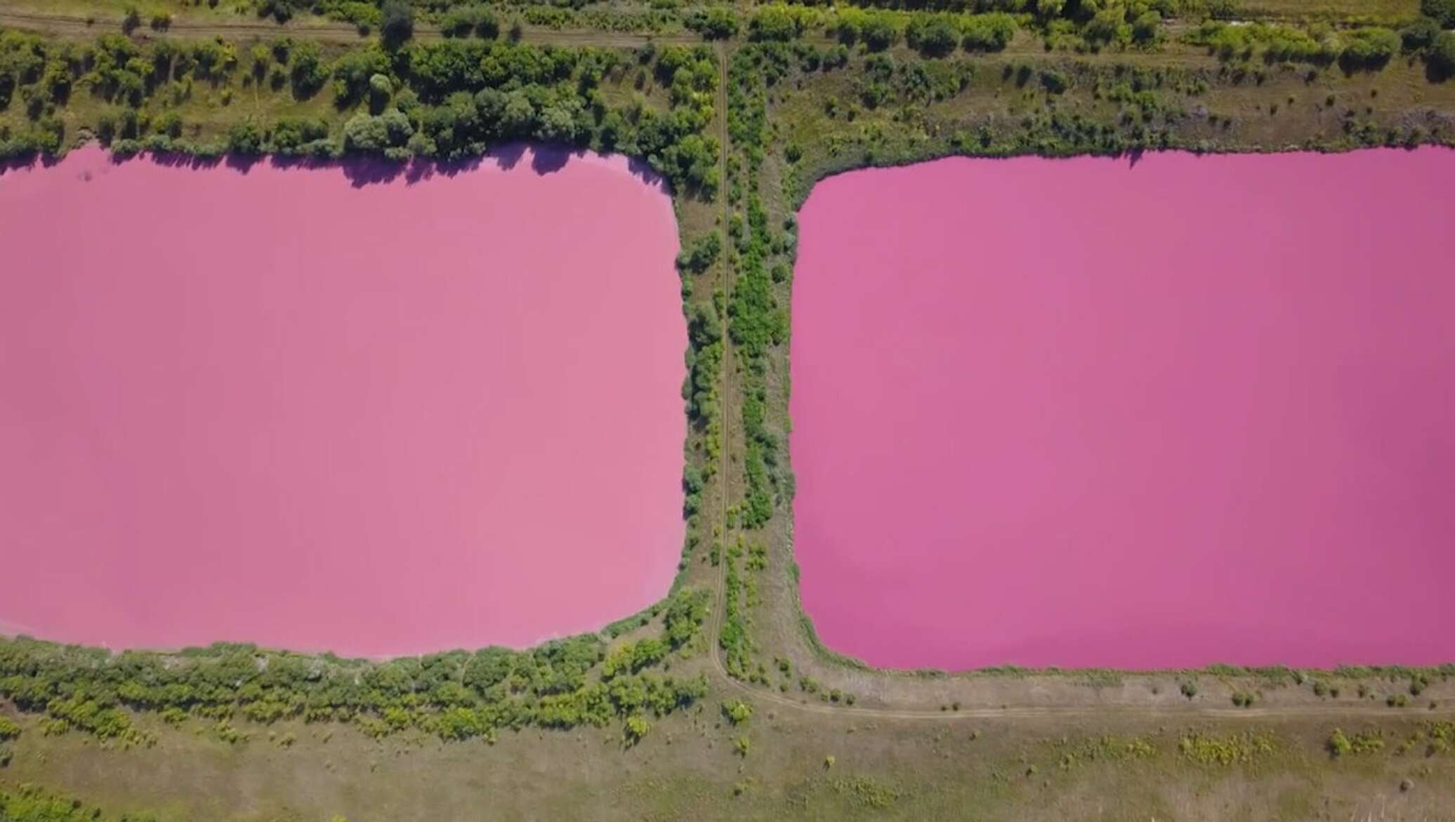 Алексеевка Кинельский район, розовое озеро
