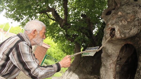Священное дерево в селе Катех стало местом поклонения сотен людей - Sputnik Азербайджан