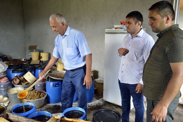 Пчеловоды Астары готовятся к очередной Республиканской ярмарке продуктов пчеловодств Пчеловоды Астары готовятся к очередной Республиканской ярмарке продуктов пчеловодств - Sputnik Азербайджан