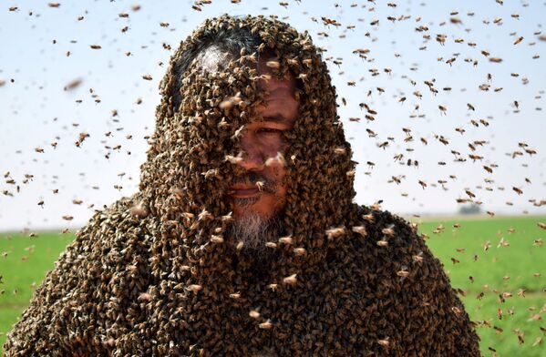 Человек, полностью покрытый пчелами, Саудовская Аравия - Sputnik Азербайджан