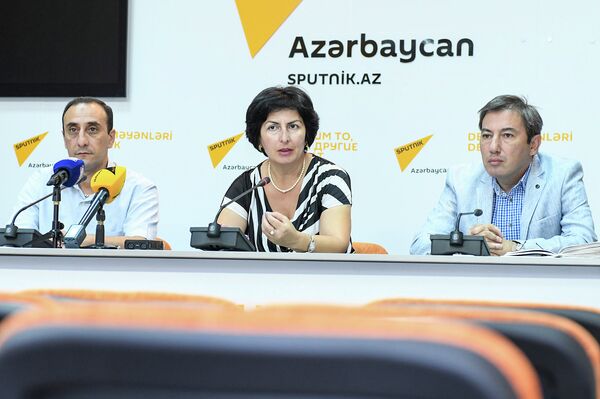 Пресс-конференция на тему Отношения Баку-Анкара: история, трансформированная в современность - Sputnik Азербайджан
