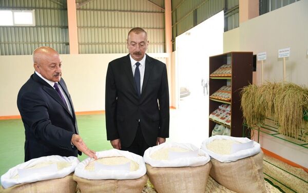 Президент Азербайджанской Республики Ильхам Алиев принял участие в открытии предприятия по переработке риса Общества с ограниченной ответственностью Масаллы неймятляри - Sputnik Азербайджан
