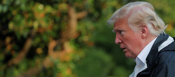 Американский лидер Дональд Трамп, фото из архива Американский лидер Дональд Трамп, фото из архива - Sputnik Азербайджан