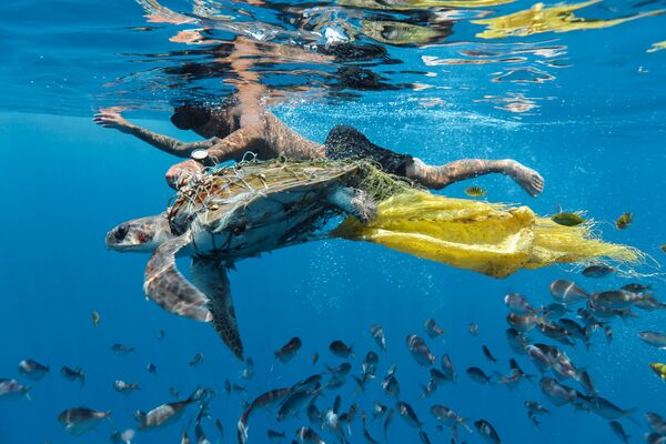 Снимок Save turtle ланкийского фотографа Jing Li, победивший в номинации Highly Commended конкурса Environmental Photographer of the Year 2018 - Sputnik Азербайджан