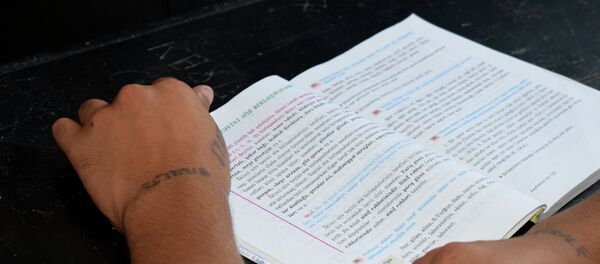 Заключенный в исправительном учреждении для несовершеннолетних при Пенитенциарной службе министерства юстиции АР во время урока - Sputnik Азербайджан