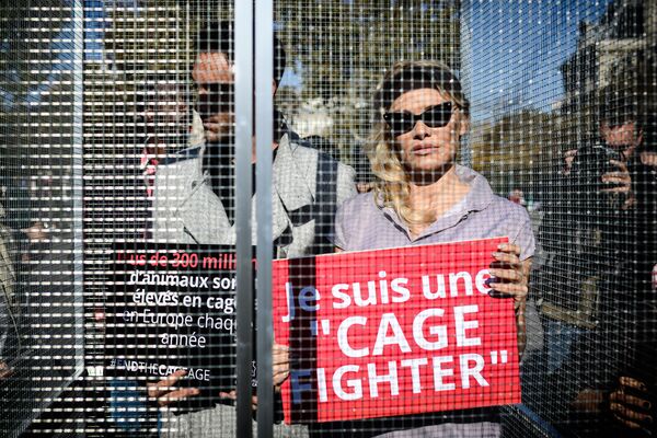 Американская актриса Памела Андерсон и ее партнер по танцам Максим Дереймез стоят в клетке во время акции в защиту животных в Париже - Sputnik Азербайджан