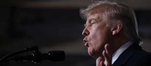 Президент США Дональд Трамп Президент США Дональд Трамп - Sputnik Азербайджан