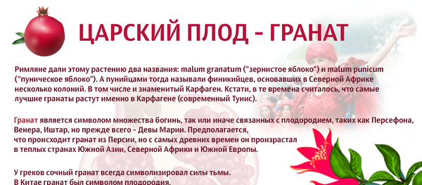 Царский плод — гранат Царский плод — гранат - Sputnik Азербайджан