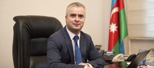 начальник Государственной службы по сельскохозяйственным проектам и управлению кредитами Мирза Алиев начальник Государственной службы по сельскохозяйственным проектам и управлению кредитами Мирза Алиев - Sputnik Азербайджан
