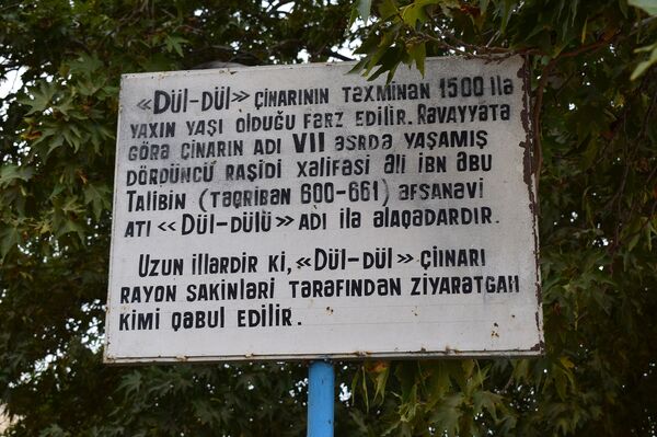 Həzrət Əli bu ərazilərdə olub, Düldül adlı atını çinarın kölgəsinə bağlayıb Həzrət Əli bu ərazilərdə olub, Düldül adlı atını çinarın kölgəsinə bağlayıb - Sputnik Азербайджан