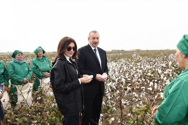 Президент Ильхам Алиев и Первая леди Мехрибан Алиева ознакомились с хлопковым полем в поселке Хиндарх Агджабединского района Президент Ильхам Алиев и Первая леди Мехрибан Алиева ознакомились с хлопковым полем в поселке Хиндарх Агджабединского района - Sputnik Азербайджан