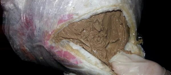 Пограничники осмотрели лодку и обнаружили в ней три упаковки, в которых находились два килограмма 420 граммов наркотического вещества - Sputnik Азербайджан