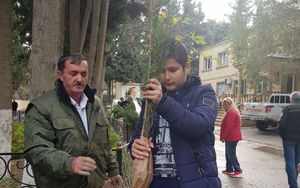 Министерство экологии и природных ресурсов Азербайджана раздало жителям Баку около 6000 саженцев различных деревьев - Sputnik Азербайджан