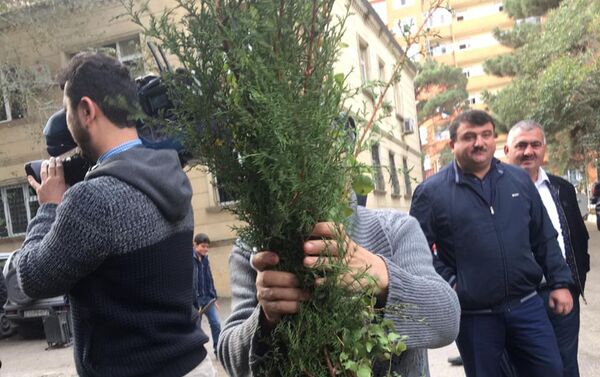 Министерство экологии и природных ресурсов Азербайджана раздало жителям Баку около 6000 саженцев различных деревьев - Sputnik Азербайджан