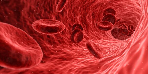 Десять знаковых систем питания всех времен Десять знаковых систем питания всех времен - Sputnik Азербайджан