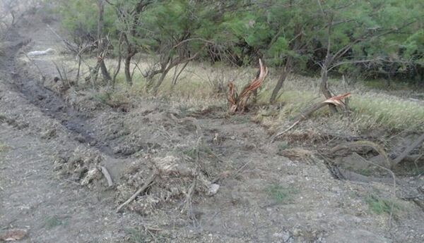 Житель Агсу нанес природе ущерб на десятки тысяч манатов Житель Агсу нанес природе ущерб на десятки тысяч манатов - Sputnik Азербайджан