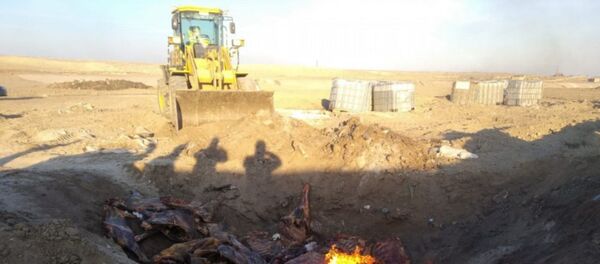 Уничтожение мяса неизвестного происхождения Уничтожение мяса неизвестного происхождения - Sputnik Азербайджан