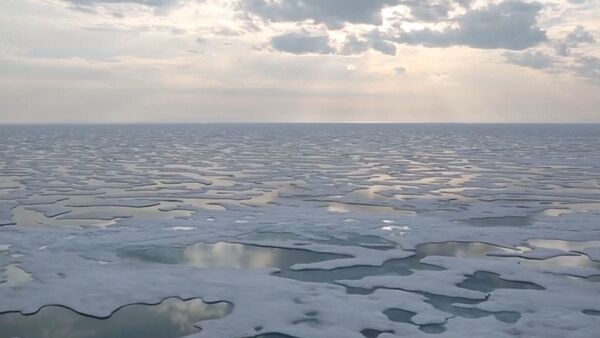 Льды Антарктиды стремительно тают - Sputnik Азербайджан